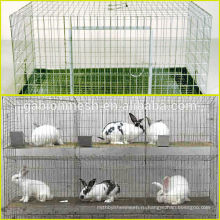 Дешевая коммерческая клетка кролика для горячей продажи на заводе
